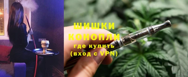 мдпв Дмитриев