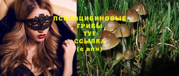 мяу мяу мука Гусев