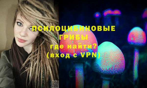 ГАЛЛЮЦИНОГЕННЫЕ ГРИБЫ Гусиноозёрск