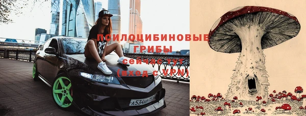 ГАЛЛЮЦИНОГЕННЫЕ ГРИБЫ Гусиноозёрск