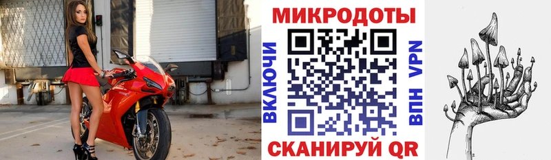 Псилоцибиновые грибы Cubensis  Купить где  Карабулак 